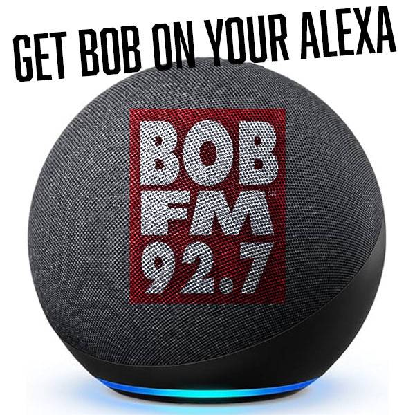 Alexa and BOB are Friends