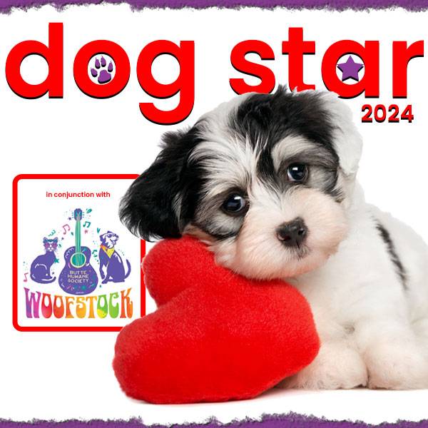 DogStarLogo2024-600x600
