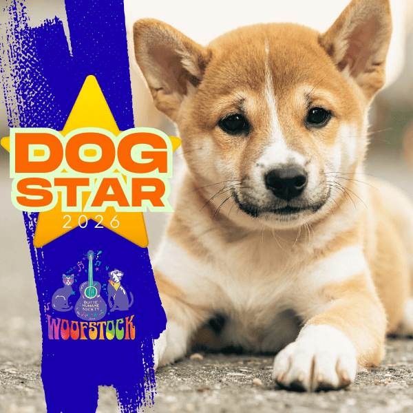 Dog Star 2026